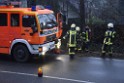 Container LKW umgestuerzt Koeln Brueck Bruecker- Dellbruecker Mauspfad P047